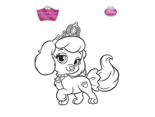 palace_pets_coloring_tykovka_maxi.png
