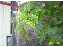 ������� ������������� ������