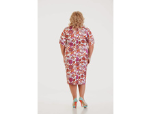 ������ ��������� ��������� ����� ������ 