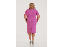 ������ ������ ���������   ������