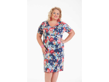 ������ ������ ������� ������ ���. ����