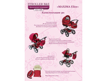 ������������ Maxima ELITE 3�1