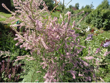 �������� � �����.....