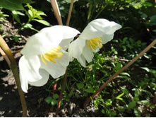 ����������-����