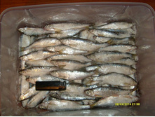 ��ԣ�� 1.05.2014 (2).JPG