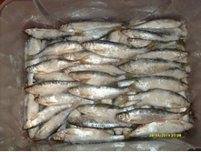 ��ԣ�� 1.05.2014.JPG