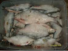 ��ԣ�� 4.05.2014.JPG