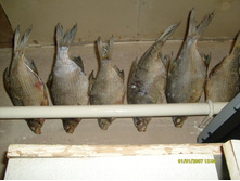 ������ ���.JPG