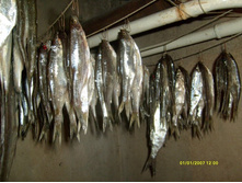 ������� (1) 1.05.2014.JPG