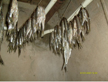 ������� 1.05.2014.JPG