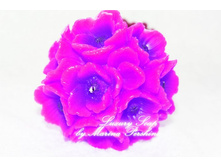 ����� ����������� \"����� ��������\"  ������� ������ 8 ��.  ��������� ��� �������� ���� 70 �����  ���� ����� 400 ���. (������� �����), 550 ��� (������� ���)