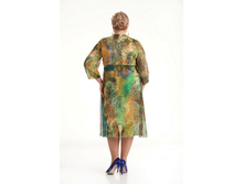 ������ ����� ������� ����� 