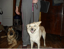 SAM_2768.JPG