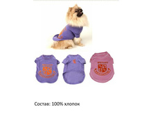 �������� 2.jpg