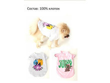 �������� 3.jpg