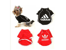 �������� 4.jpg