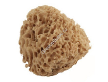 ������� ����� ������������