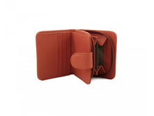 CORAIL - ������� �� ������ _2.jpg