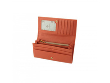 CORAIL - �������� _2.jpg