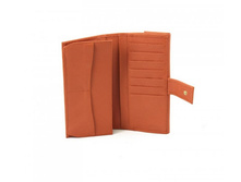 CORAIL - �������� ELITE _2.jpg