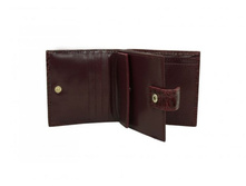 SANGRIA - ������� S _2.jpg