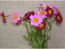 ����������� 308.jpg