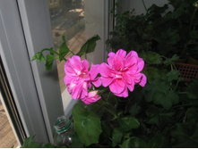 ���������� ������������ Beatrice Cottington07.05.2014 20:04:09