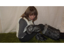 244720, 244730, 244311 (������).jpg