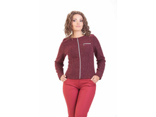 ����� ���� ���. ����