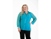 ����� ���������  ������  950�.jpg