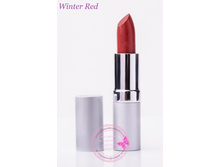 ����������� ������ ��� ��� � ��������� �- winter red.jpg