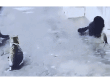 �������� ����� ����� ���!