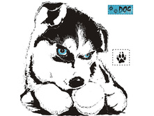 ������ 24-22.jpg