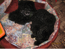 ���� � ����� 395.jpg