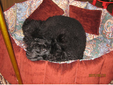 ���� � ����� 392.jpg