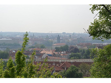 getImage (96).jpeg