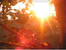 ����-����