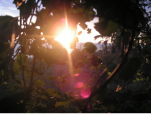 ����-����