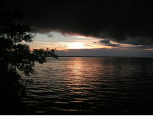 ����-����