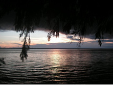 ����-����