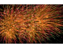 ���� �������� �.