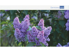 ������ ���������� 250,0