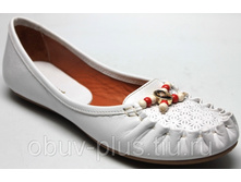 1000 �����