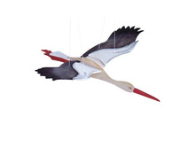 ������ ����.jpg