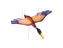 ������ �������� (Ostheimer).jpg