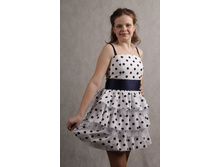 1005027 ������ ������ ����� ����� ����� �����.jpg