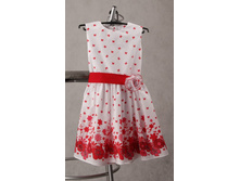 01003003 ������ ������  �������.jpg