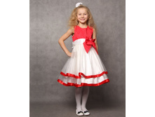 010050019 ������  ������ �������.jpg