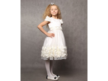 01005018 ������ ���� ����.jpg