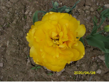 SN852730.JPG